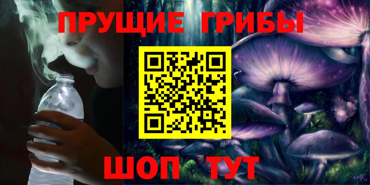 Галлюциногенные грибы мицелий  продажа наркотиков  Кириши  Вход с VPN 